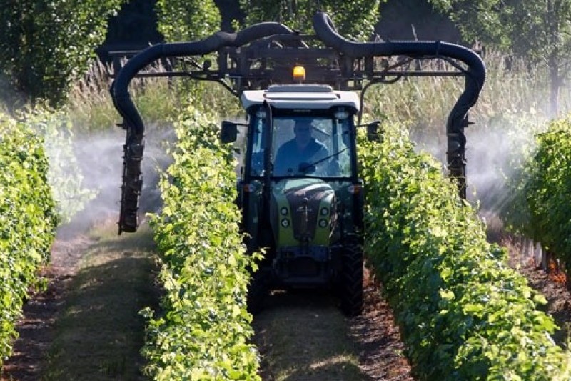 Laboratoire œnologique,Analyses œnologiques,Conseils œnologiques,Accréditation COFRAC,aude,œnologie,Analysez votre vin,Bio,laboratoires analyses du vin,ingénierie œnologique,conception de chai,Marketing des vins,controle brettanomyces,Agronomie,viticulture,Viticulture raisonnée,systèmes de certification,Analyse et conseil œnologique,Assurance qualité des outils de production,sécurité alimentaire,Analyse fine,vigne,vin,professionnels,viticulteur,vigneron,onologue,languedoc roussillons,vins sud de france,vignobles du languedoc,laboratoires dubernet