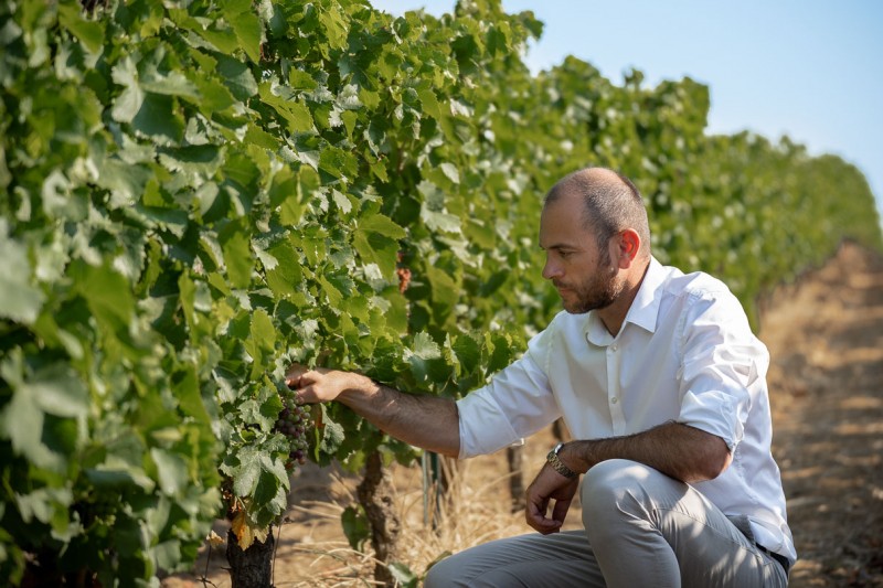 Laboratoire œnologique,Analyses œnologiques,Conseils œnologiques,Accréditation COFRAC,aude,œnologie,Analysez votre vin,Bio,laboratoires analyses du vin,ingénierie œnologique,conception de chai,Marketing des vins,controle brettanomyces,Agronomie,viticulture,Viticulture raisonnée,systèmes de certification,Analyse et conseil œnologique,Assurance qualité des outils de production,sécurité alimentaire,Analyse fine,vigne,vin,professionnels,viticulteur,vigneron,onologue,languedoc roussillons,vins sud de france,vignobles du languedoc,laboratoires dubernet